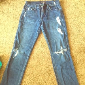 James Jeans Distressed Skinny Jean